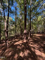 0 Reedy Creek Rd Road, Cary, NC 27513