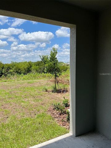 31611 BLUE PASSING LOOP, Wesley Chapel, FL 33545