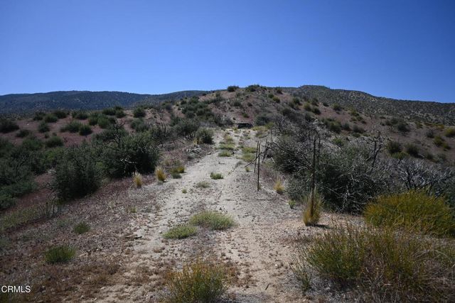 17610 Big Pines Highway, Valyermo, CA 93563