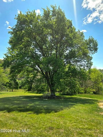 234 George Millsaps Road, Robbinsville, NC 28771