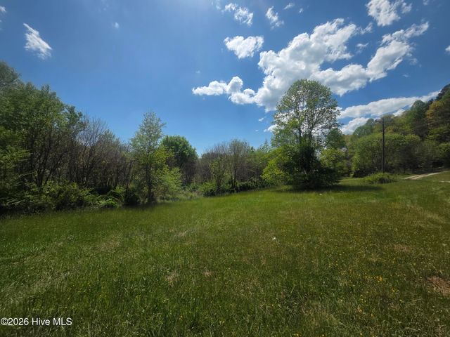 234 George Millsaps Road, Robbinsville, NC 28771