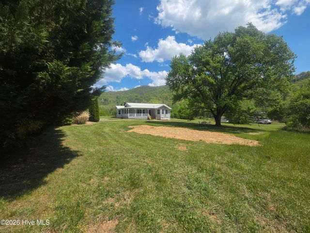 234 George Millsaps Road, Robbinsville, NC 28771
