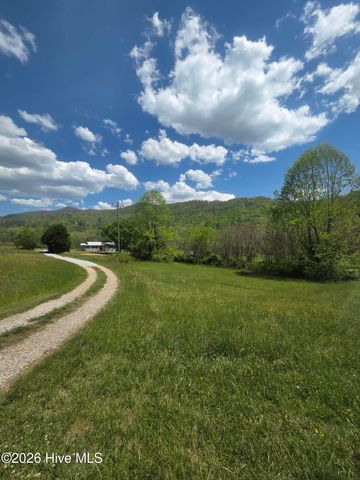 234 George Millsaps Road, Robbinsville, NC 28771