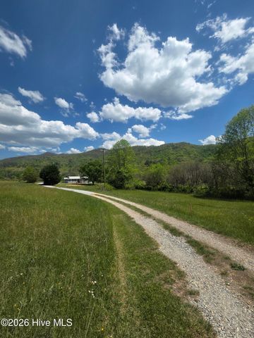234 George Millsaps Road, Robbinsville, NC 28771