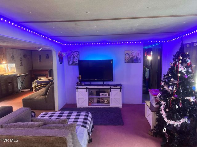 1460 Gum Branch Road, Oakwood, VA 24631