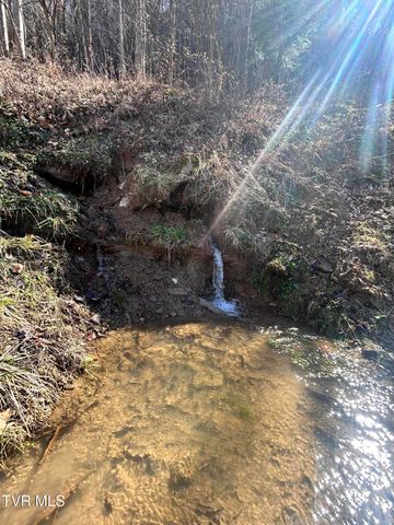 1460 Gum Branch Road, Oakwood, VA 24631