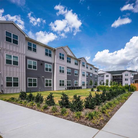 13958 Cottingham Road 8310, Houston, TX 77048