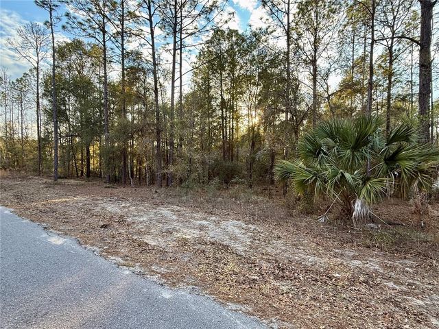 SW 205TH CIRCLE, Dunnellon, FL 34431