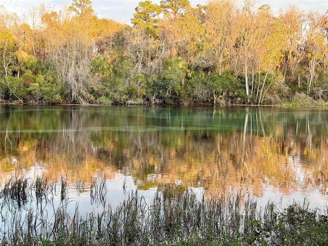 SW 205TH CIRCLE, Dunnellon, FL 34431