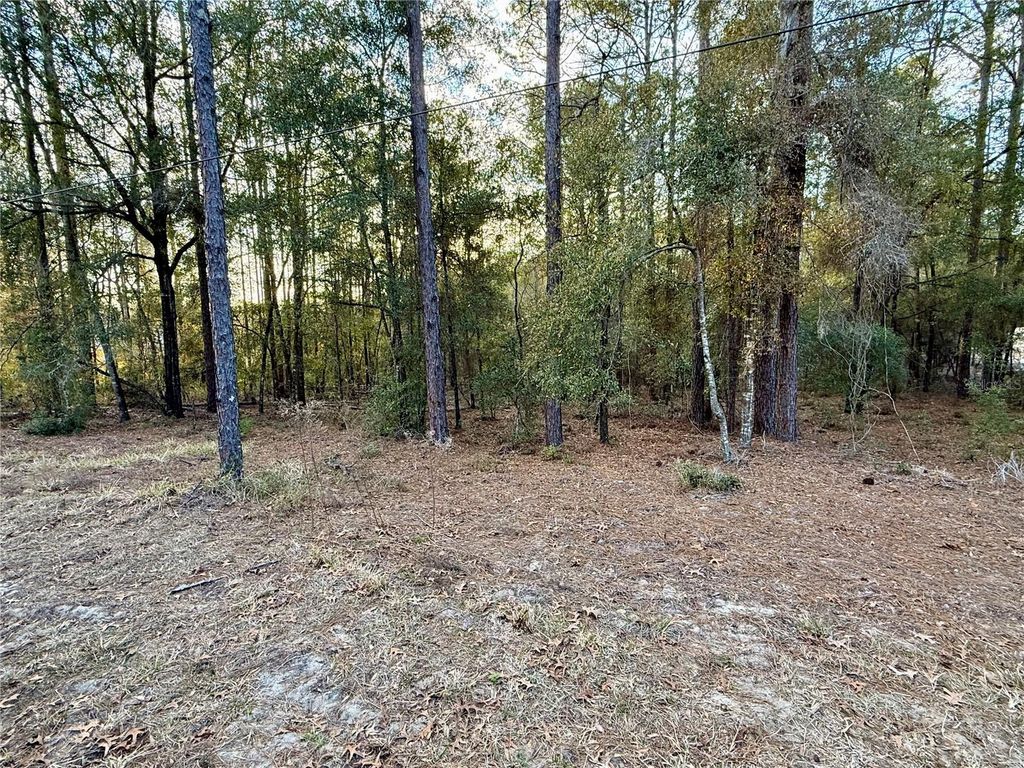 SW 205TH CIRCLE, Dunnellon, FL 34431