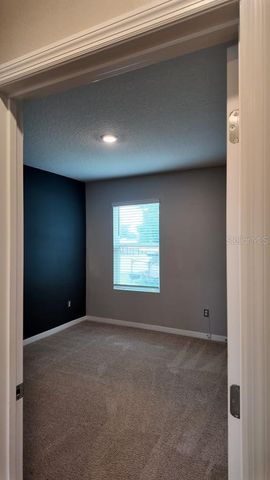 11237 AMBER RIDGE DRIVE, Zellwood, FL 32798