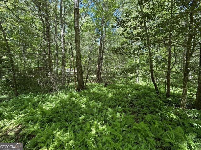 1199 Mountain Cove Road, Dahlonega, GA 30533