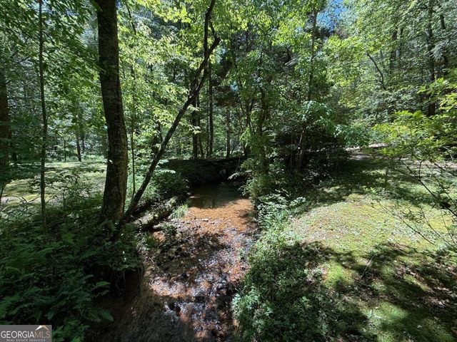 1199 Mountain Cove Road, Dahlonega, GA 30533