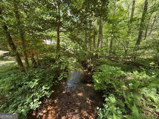 1199 Mountain Cove Road, Dahlonega, GA 30533