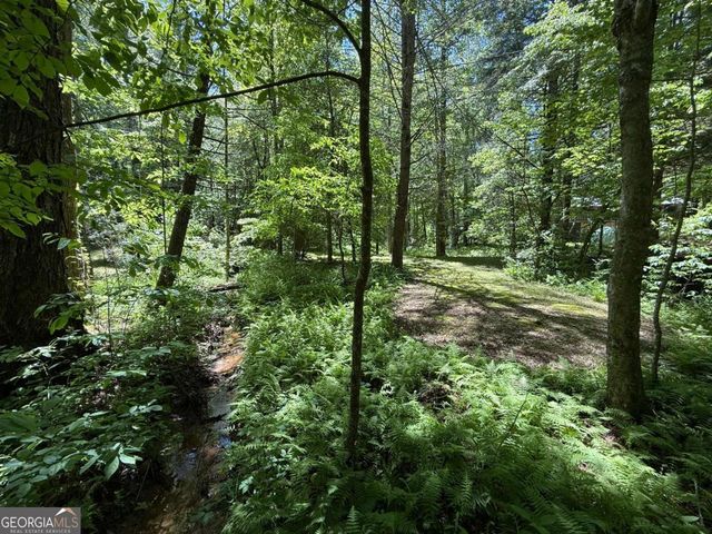 1199 Mountain Cove Road, Dahlonega, GA 30533