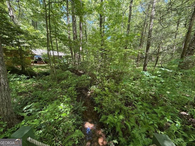 1199 Mountain Cove Road, Dahlonega, GA 30533