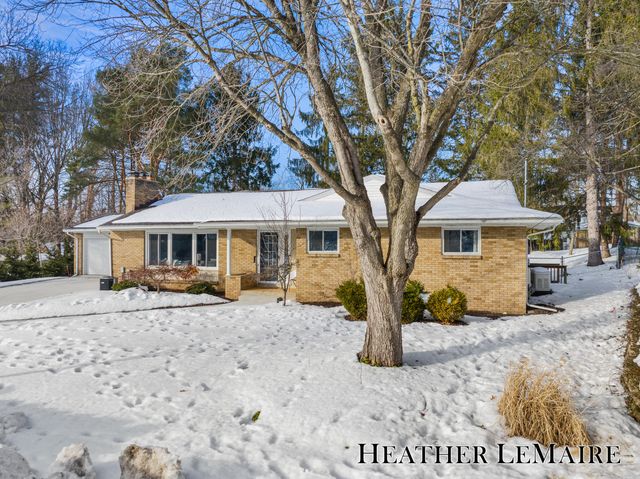 159 Louise Street Ne, Rockford City, MI 49341