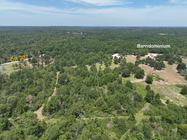 10024 County Road 207, Centerville, TX 75833