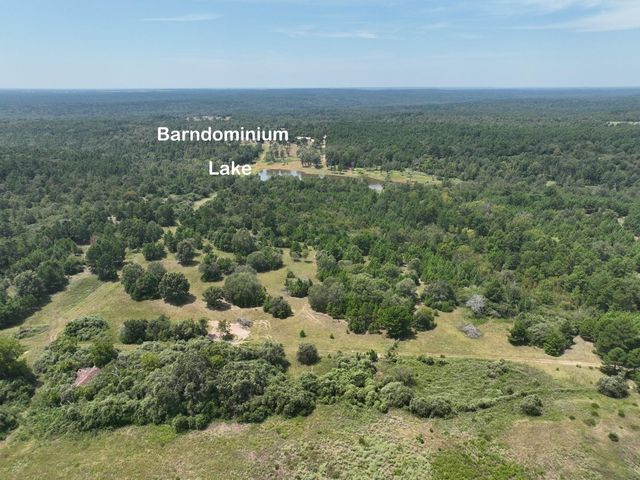 10024 County Road 207, Centerville, TX 75833