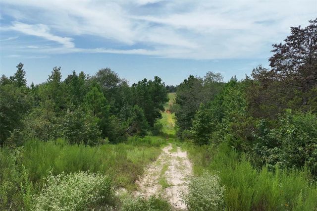 10024 County Road 207, Centerville, TX 75833