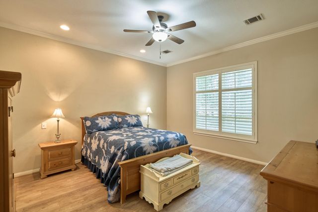 11359 Burning Tree Drive, Montgomery, TX 77356
