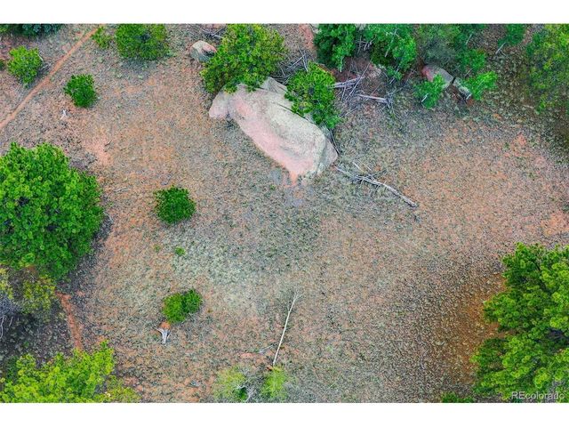549 Spring Valley Ln, Florissant, CO 80816