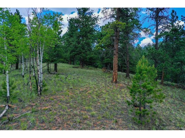 549 Spring Valley Ln, Florissant, CO 80816