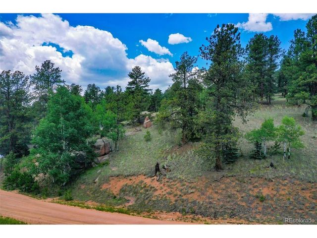 549 Spring Valley Ln, Florissant, CO 80816