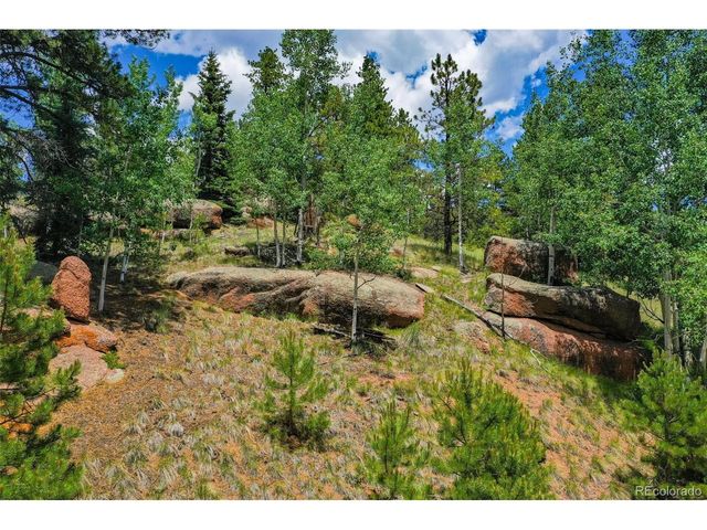 549 Spring Valley Ln, Florissant, CO 80816