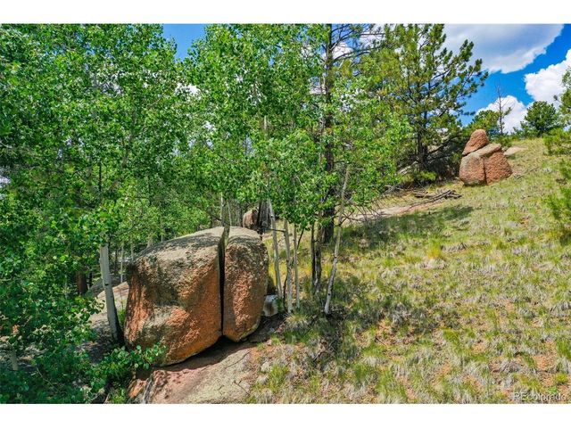 549 Spring Valley Ln, Florissant, CO 80816