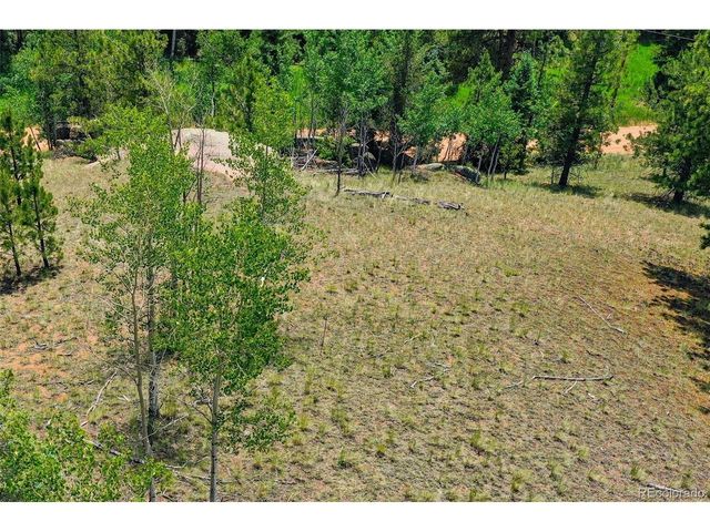 549 Spring Valley Ln, Florissant, CO 80816