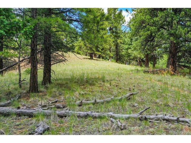 549 Spring Valley Ln, Florissant, CO 80816