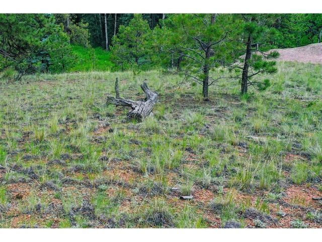 549 Spring Valley Ln, Florissant, CO 80816