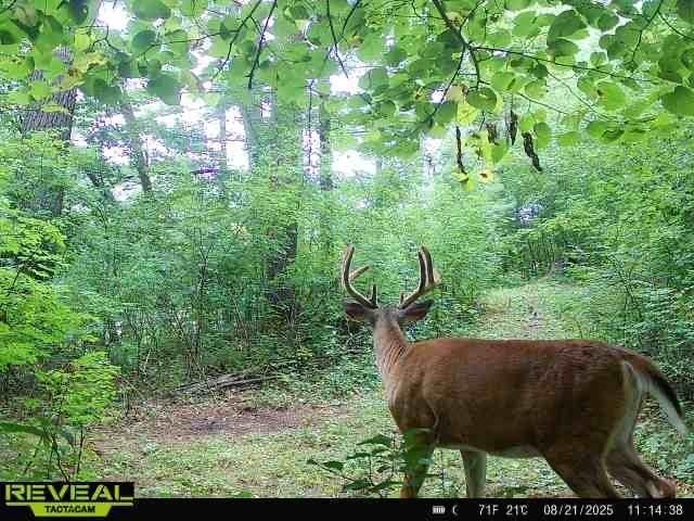 E10034 331st Avenue, Eau Claire, WI 54703