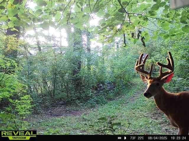 E10034 331st Avenue, Eau Claire, WI 54703