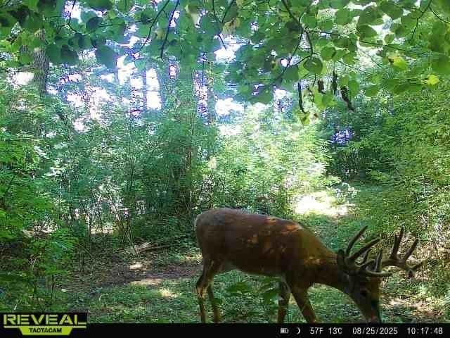 E10034 331st Avenue, Eau Claire, WI 54703