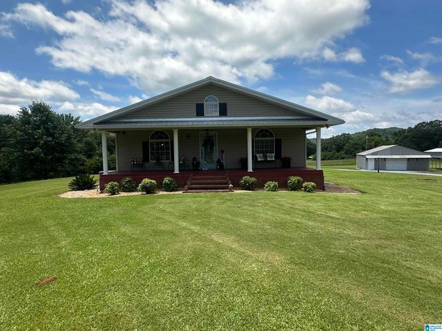 10264 MCGOWANS FERRY ROAD, Childersburg, AL 35044