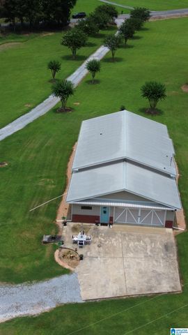 10264 MCGOWANS FERRY ROAD, Childersburg, AL 35044