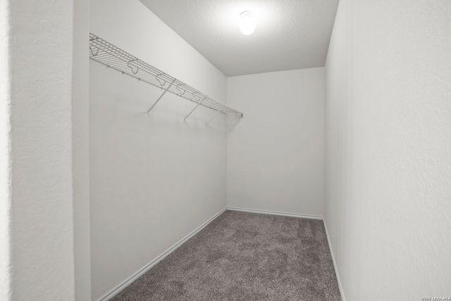 10954 Rustic Spoke, San Antonio, TX 78245