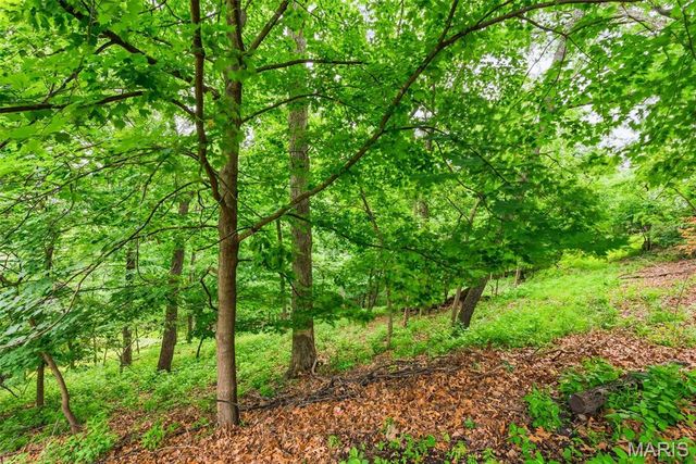 5063 Oak Bluff Drive, High Ridge, MO 63049