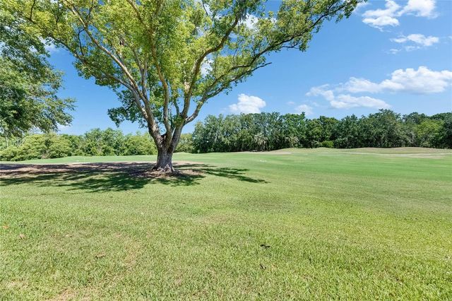 29903 BAYWOOD LANE, Wesley Chapel, FL 33543