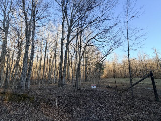 4 John Ross Hollow Rd, Erin, TN 37061