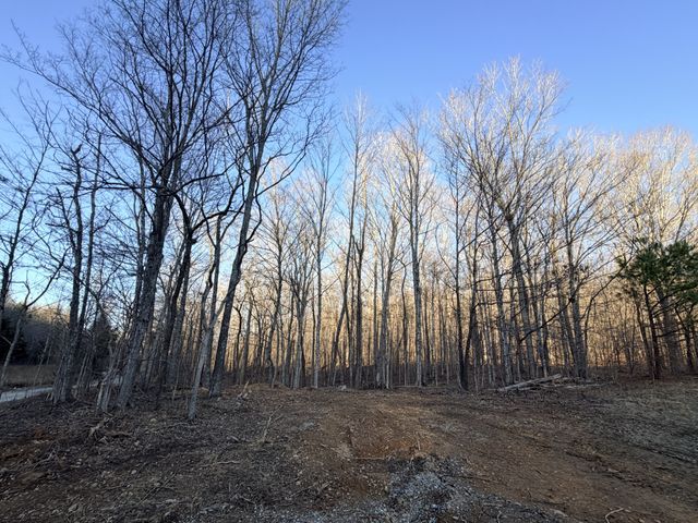 4 John Ross Hollow Rd, Erin, TN 37061