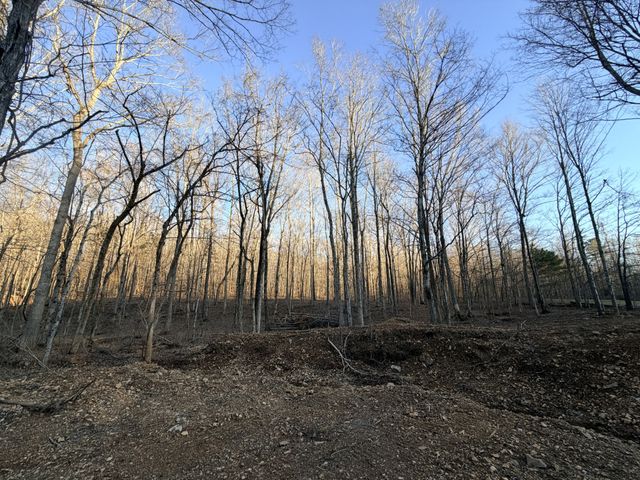 4 John Ross Hollow Rd, Erin, TN 37061