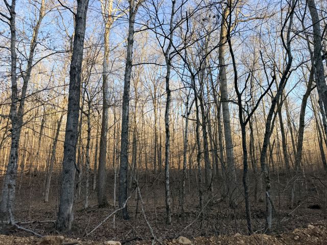 4 John Ross Hollow Rd, Erin, TN 37061