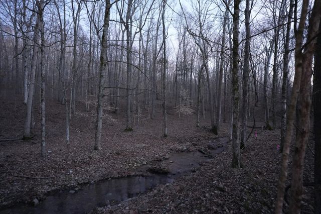 4 John Ross Hollow Rd, Erin, TN 37061