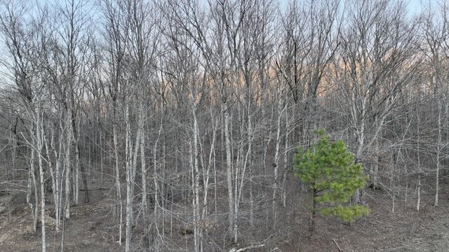 4 John Ross Hollow Rd, Erin, TN 37061