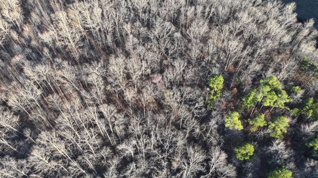 4 John Ross Hollow Rd, Erin, TN 37061