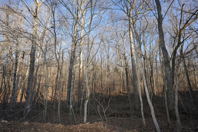 4 John Ross Hollow Rd, Erin, TN 37061