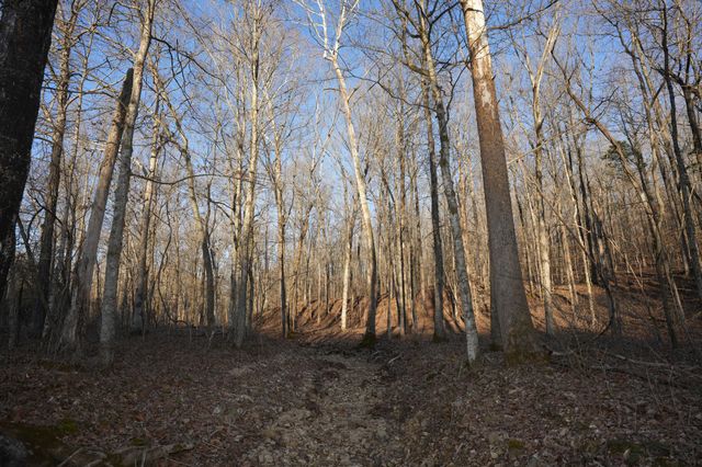 4 John Ross Hollow Rd, Erin, TN 37061